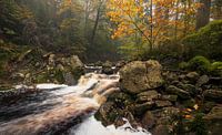 Breathtaking waterfall in the Belgian Ardennes: Autumn landscape