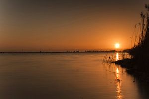 Sonnenuntergang auf dem Boulevard in Bergen op Zoom
