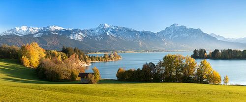 Forggensee und Allgäuer Alpen im Herbst, Allgäu, Bayern, Deutschland