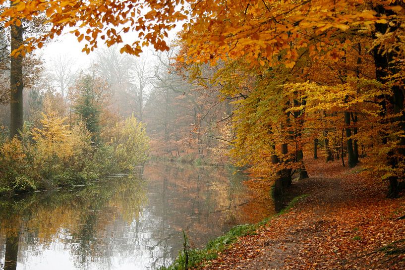 herfst landschap by Saskia Toonen