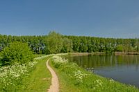 Pad langs de Moervaart