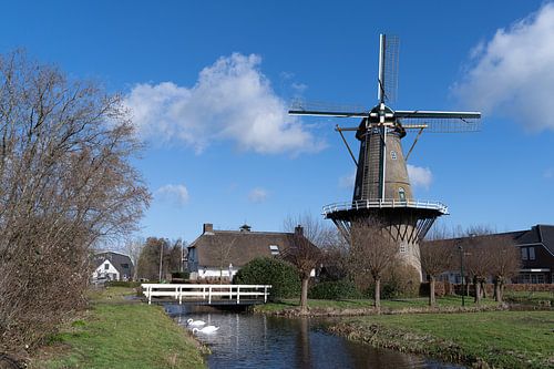 Bergambacht Nederland Molen Den Arend uit 1869