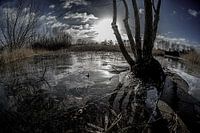 Winterzon aan het water