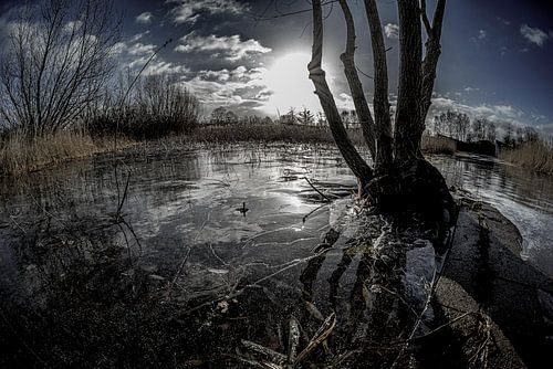 Winter sun by the water