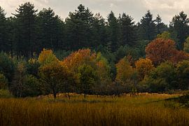 Limburg "the Landscape". by Onno Alblas