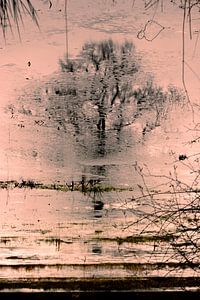 Abendrot