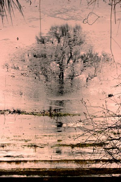 Abendrot von SO fotografie