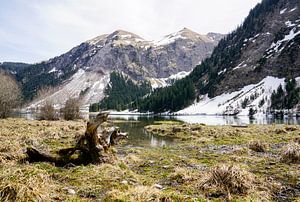 Der Vilsalpsee im Tannheimer Tal mit spiegelndem Wasser und alpiner Bergkulisse.