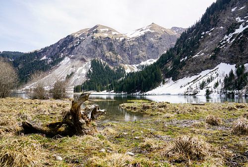 De Vilsalpsee in het Tannheimer Tal met spiegelend water en een alpenberglandschap op de achtergrond.