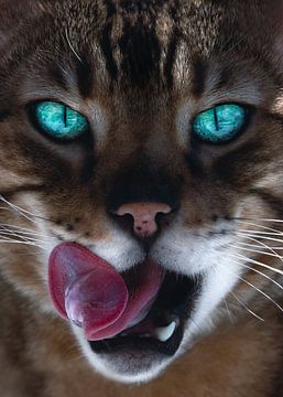 Close-up van een Bengaalse kat van Leny Silina Helmig