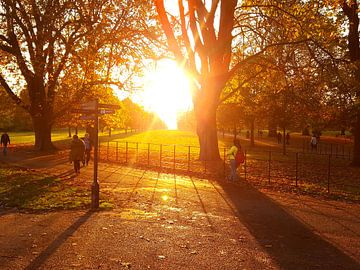 Perfecte herfstdag in het park.