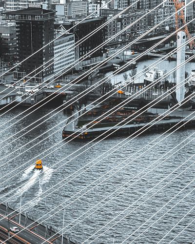 View from De Rotterdam