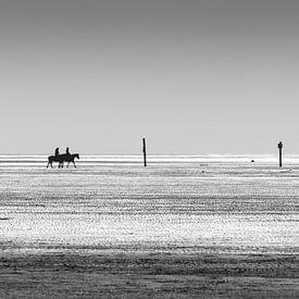 Down at the waterline von Orangefield-images