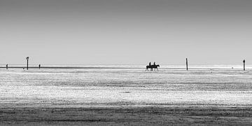 Down at the waterline
