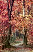 Autumn Symphony