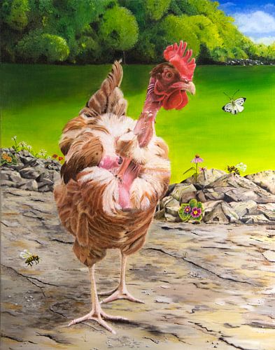 Poulet chauve français dans le jardin