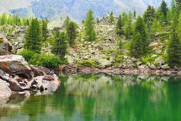 The Engadin mountains offer a harmonious blend of alpine expanses, crystal-clear lakes and gentle larch forests. The landscape is flooded with light, peaceful and majestic at the same time - a natural paradise in the heart of Switzerland. by Miriam Schwarzfischer Fotografie