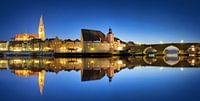 Regensburg Panorama bij het blauwe uur