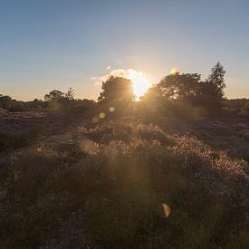 Coucher de soleil sur les landes de Bakkeveen sur Willie Kamminga