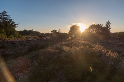 Sunset on the Bakkeveen moors