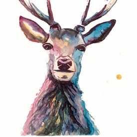 Print of a deer, special bird, forest animal illustration by Angela Peters