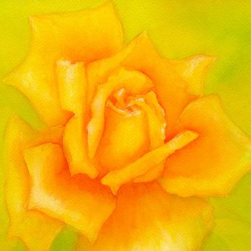 Nog een geel rozenvierkant van Karen Kaspar