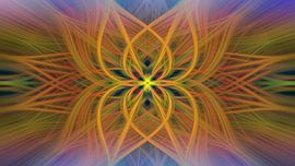 Tulpen aus Holland von Henk Meijer Photography