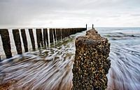 The Sea