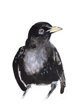 Merel zwarte vogel tekening van Angela Peters