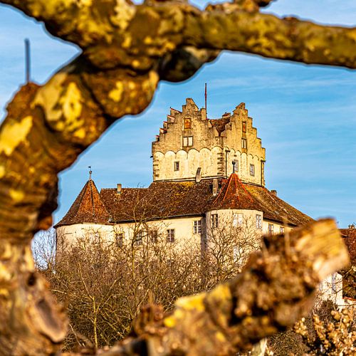 Château de Meersburg sur Dieter Walther