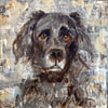 Hunde Bilder