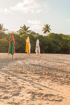 sunny beach with 3 parasols and tropical forest | Brazil | travel photography by Lisa Bocarren