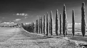 Poggio Covili - Tuscany - infrared black and white