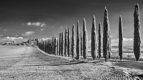 Poggio Covili - Toscane - infrarouge noir et blanc