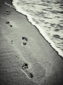 Go Your Own Way by Martijn Jebbink Photography