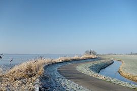 The only way by Pieter Heymeijer