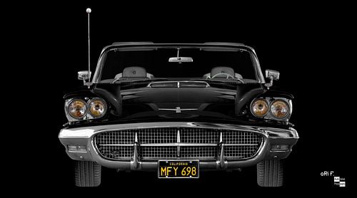 Ford Thunderbird 2rd Square Bird