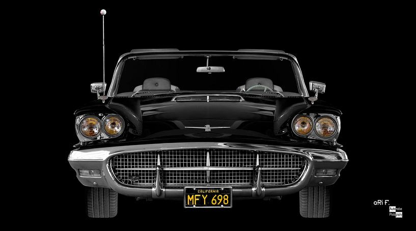 Ford Thunderbird 2rd Square Bird by aRi F. Huber