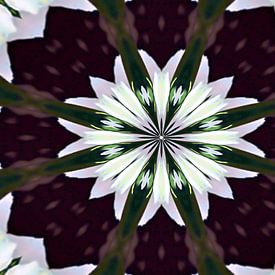 Mandala - Blume des Lebens van Doris Kroos