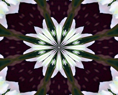 Mandala - Blume des Lebens