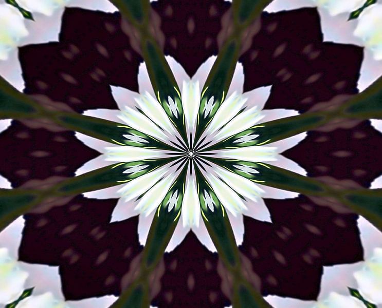 Mandala - Blume des Lebens van Doris Kroos