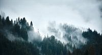 Alpine fog 3