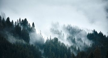 Alpiner Nebel 3 von Bart Rondeel