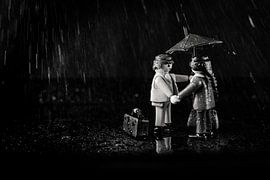 playmobil amoureux von celine bg
