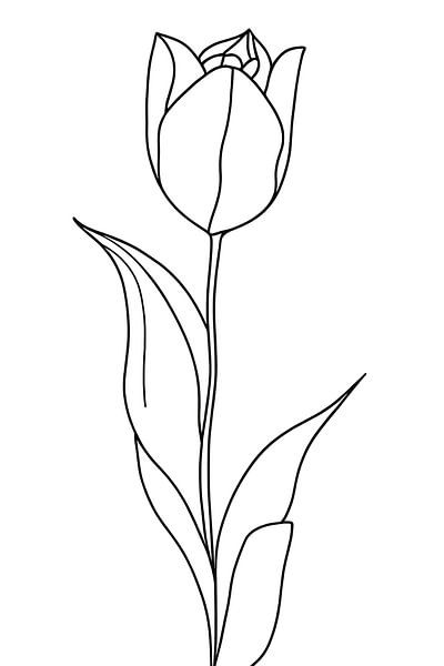Tulip... by Ans Bastiaanssen