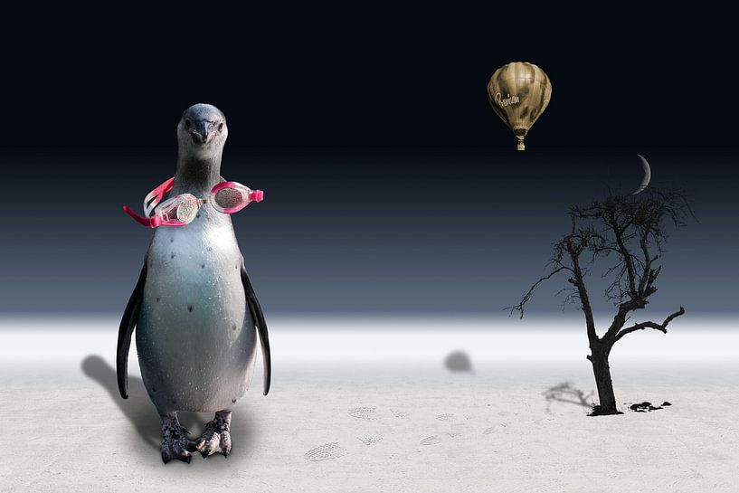 Der Pinguin des Ballonfahrers von Erich Krätschmer
