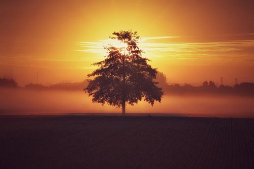 Een baken in het licht