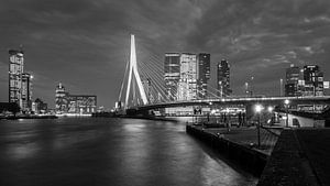 Die Rotterdam-Verbindung von Scott McQuaide