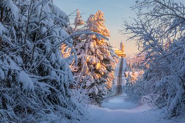 Winterochtend op de Fichtelberg van Daniela Beyer