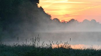 Ein früher Morgen im Mai. Sonnenaufgang.